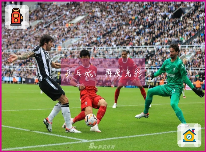 乒乓城，再展光彩